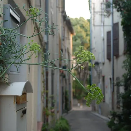 Sortie 44 - Newly Renovated 1 Bedroom, Center Of Old *